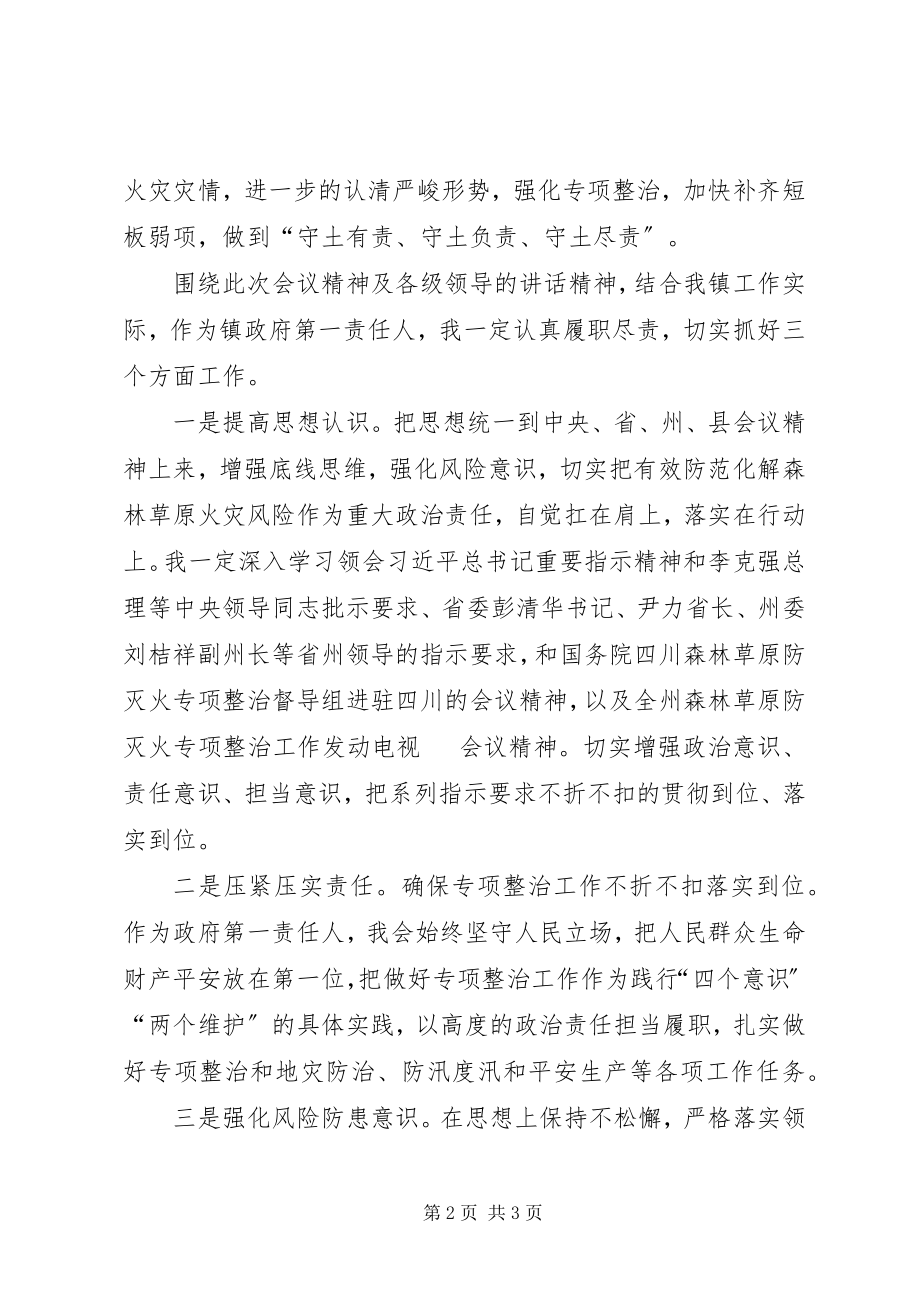 2023年开展森林草原防灭火专项整治工作的心得体会.docx_第2页