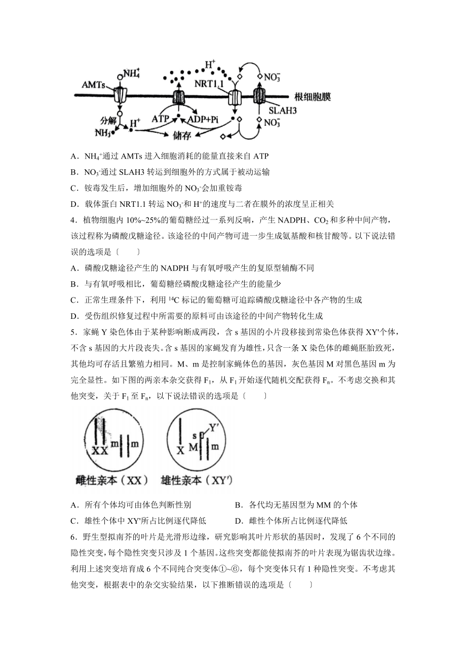 2023年新高考山东卷高考生物真题试卷（含答案）.docx_第2页