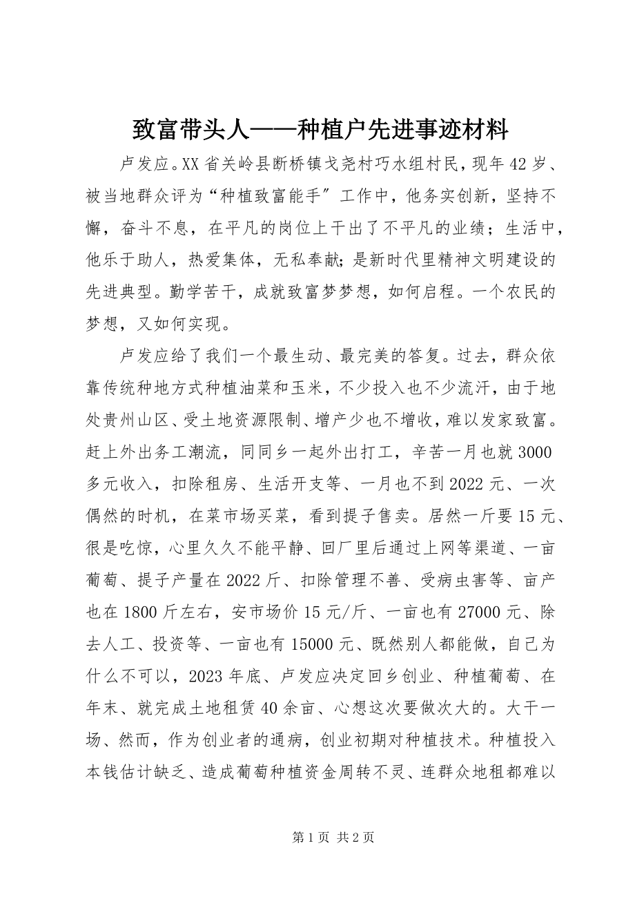 2023年致富带头人种植户先进事迹材料.docx_第1页