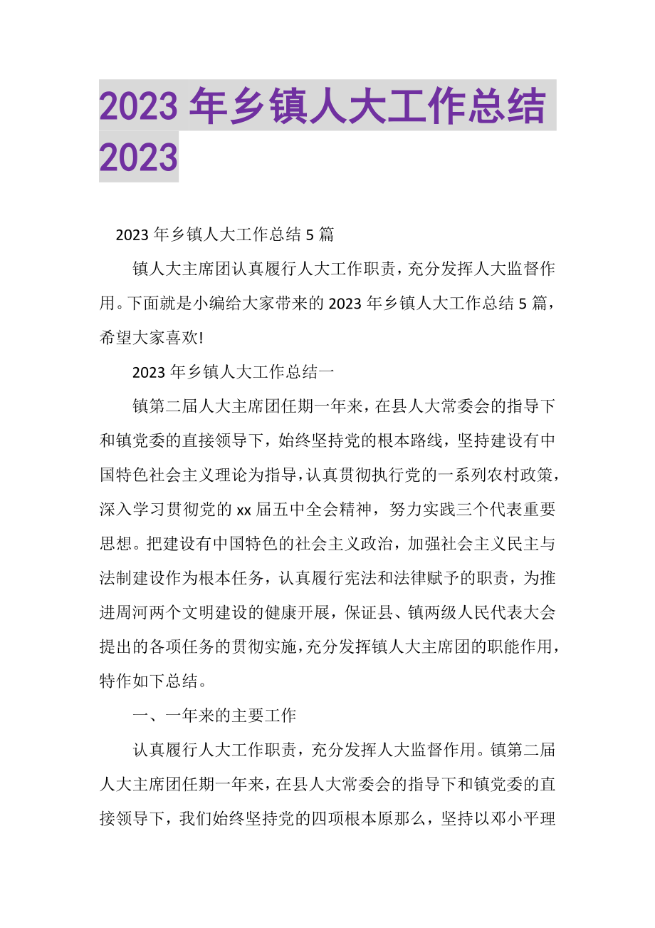 2023年20XX年乡镇人大工作总结20XX.doc_第1页