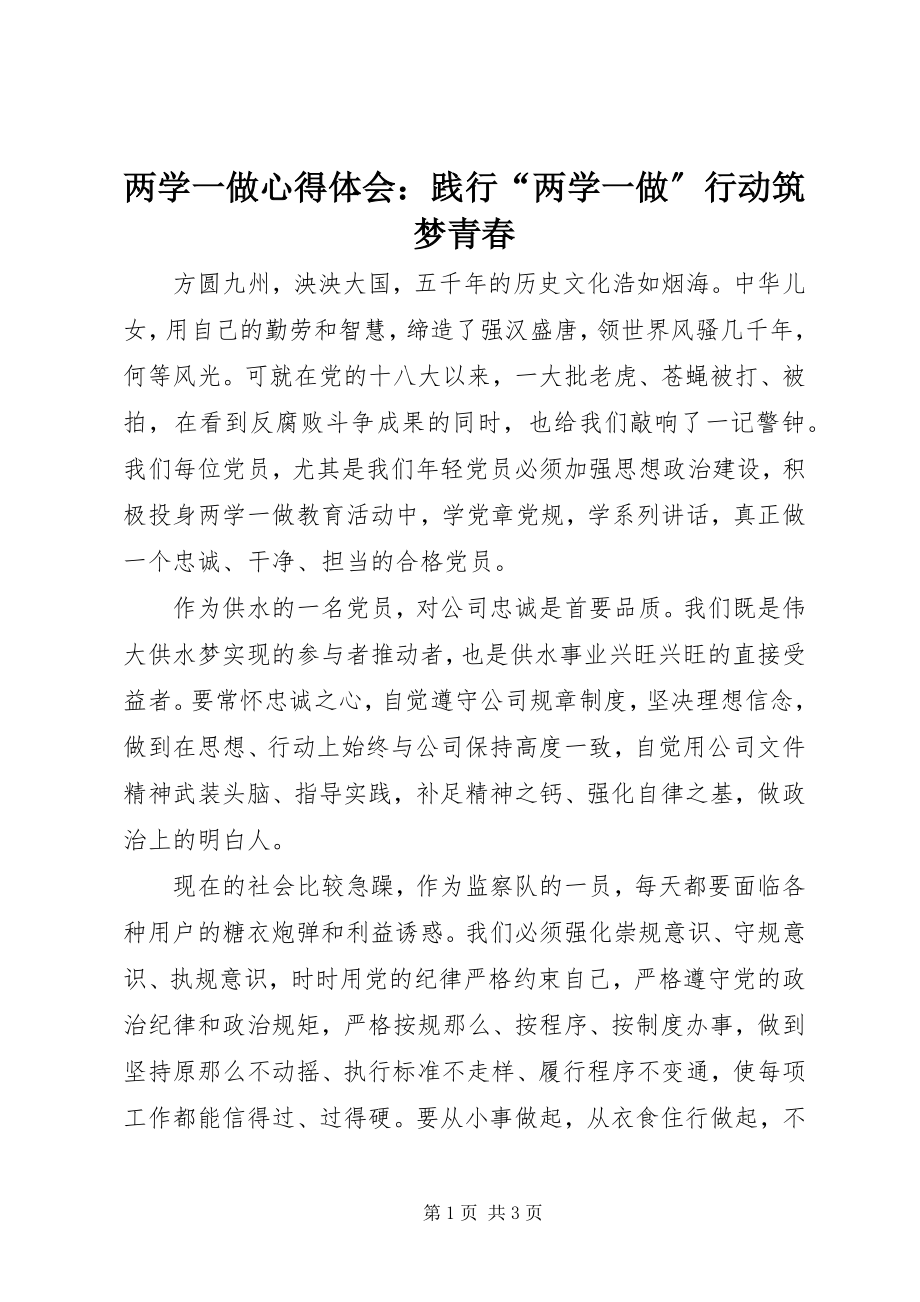 2023年两学一做心得体会践行“两学一做”行动筑梦青春.docx_第1页