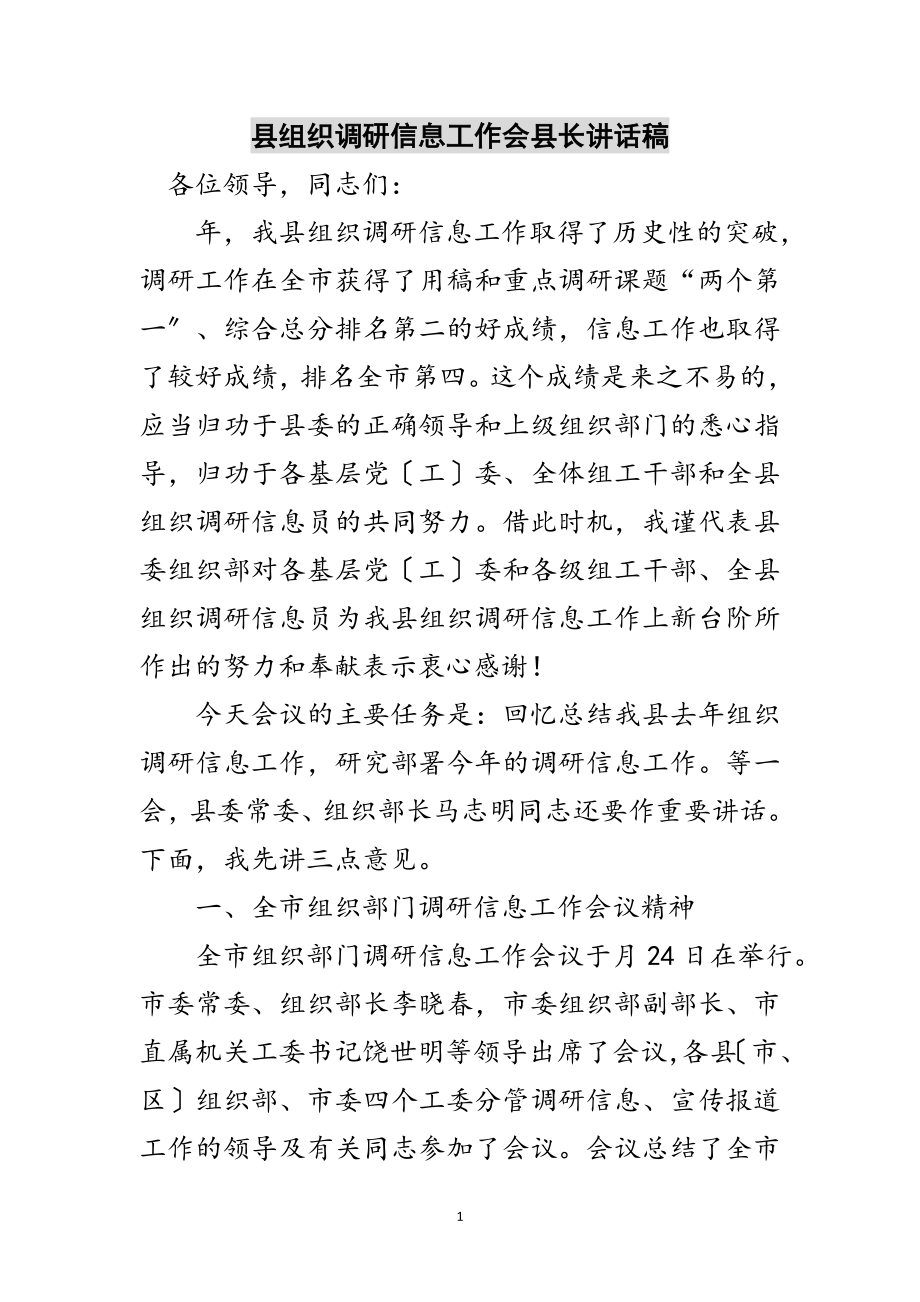 2023年县组织调研信息工作会县长讲话稿范文.doc_第1页