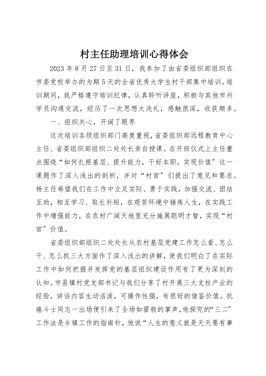 2023年村主任助理培训心得体会新编.docx_第1页