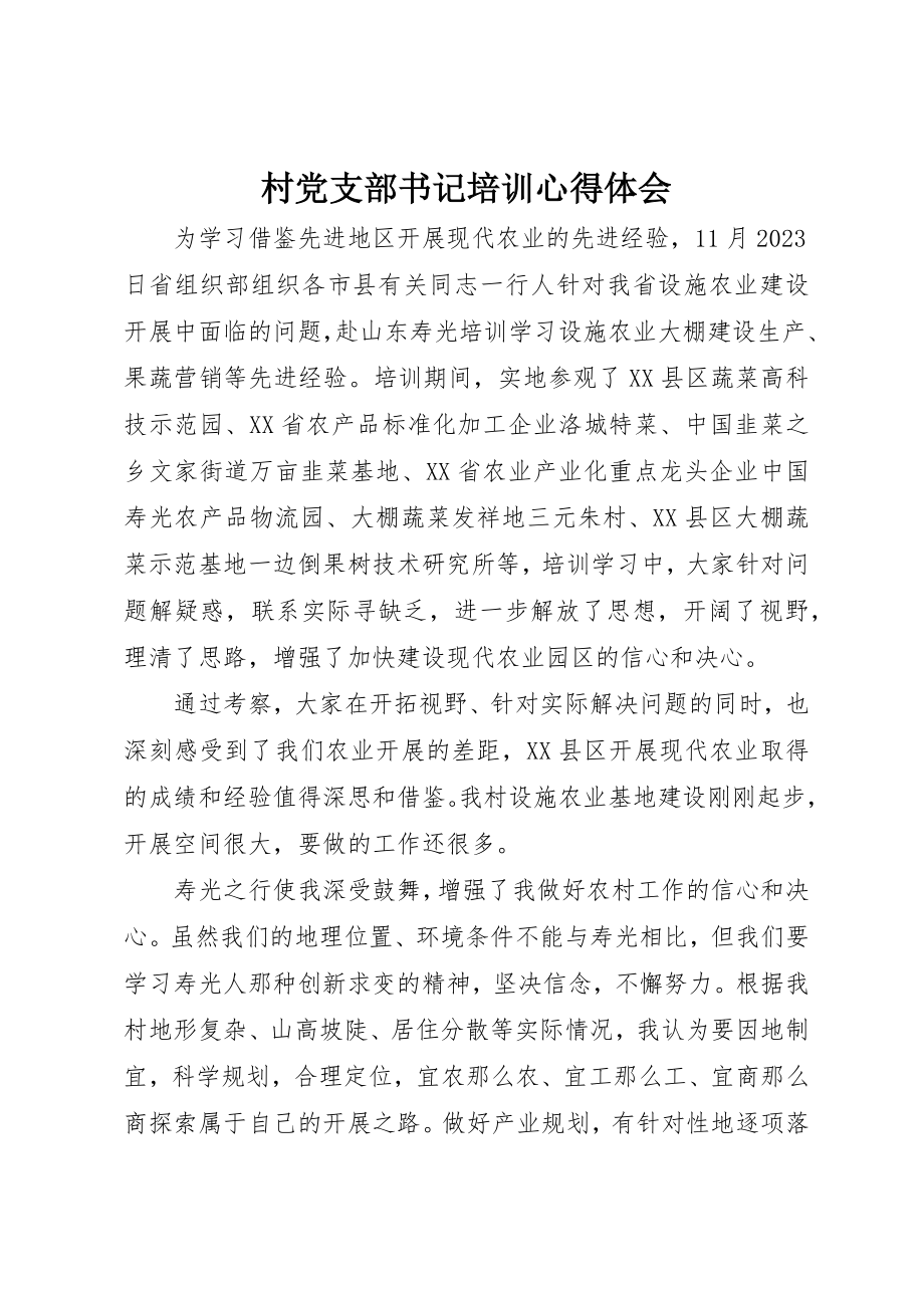 2023年村党支部书记培训心得体会新编.docx_第1页