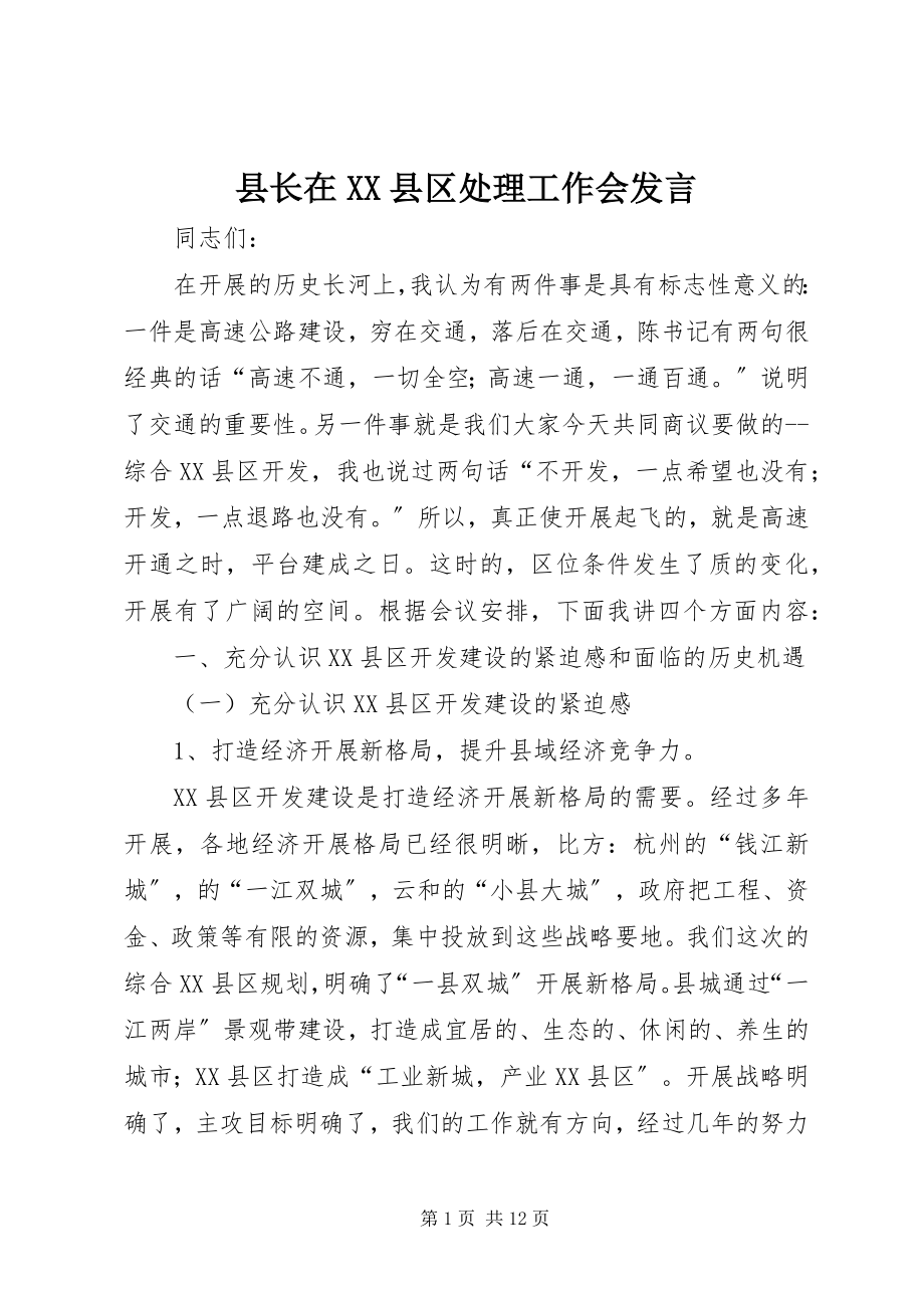 2023年县长在XX县区处理工作会讲话.docx_第1页