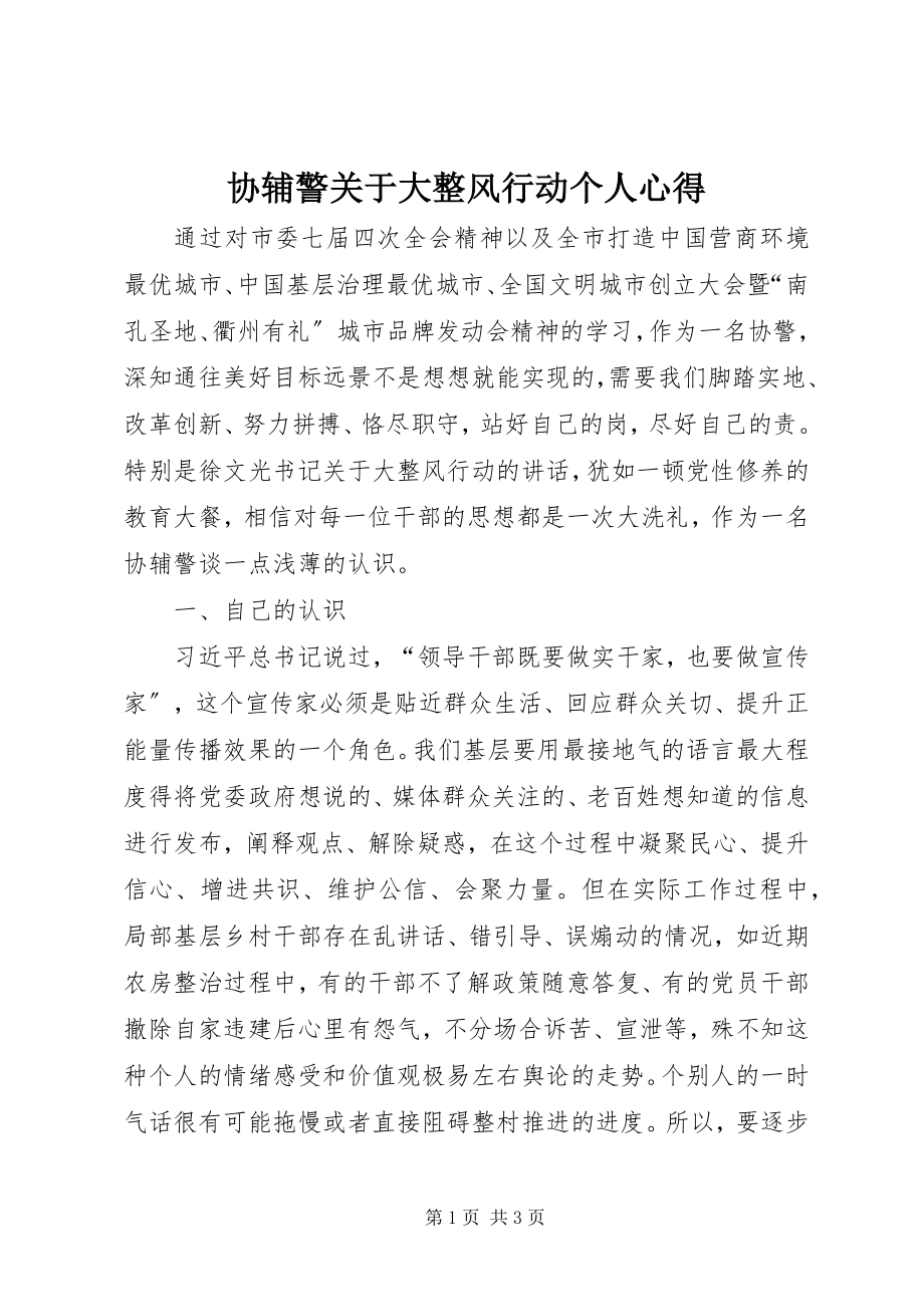 2023年协辅警关于大整风行动个人心得.docx_第1页