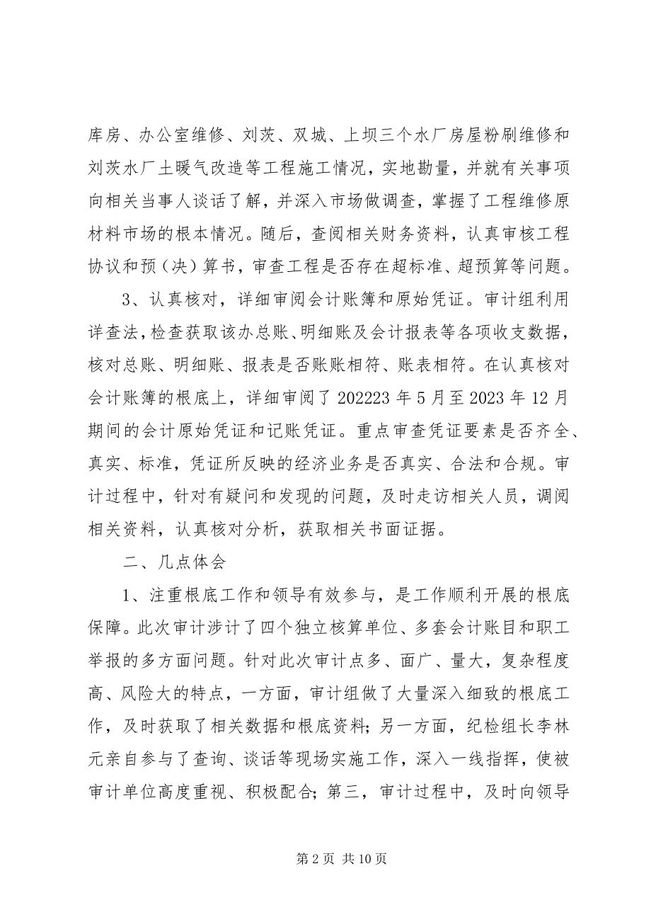 2023年经济审计主要做法与感想.docx_第2页