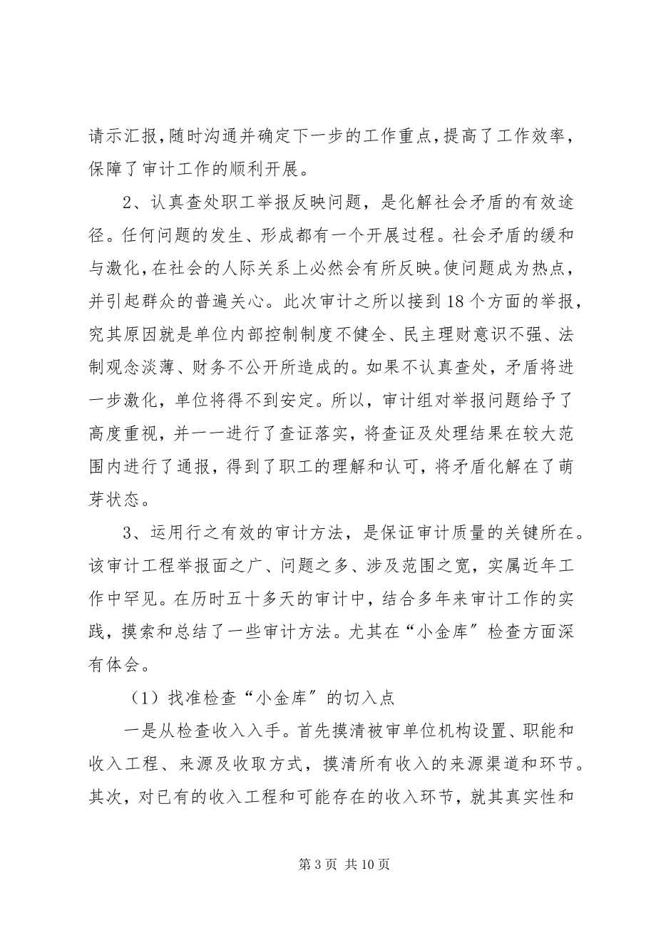 2023年经济审计主要做法与感想.docx_第3页