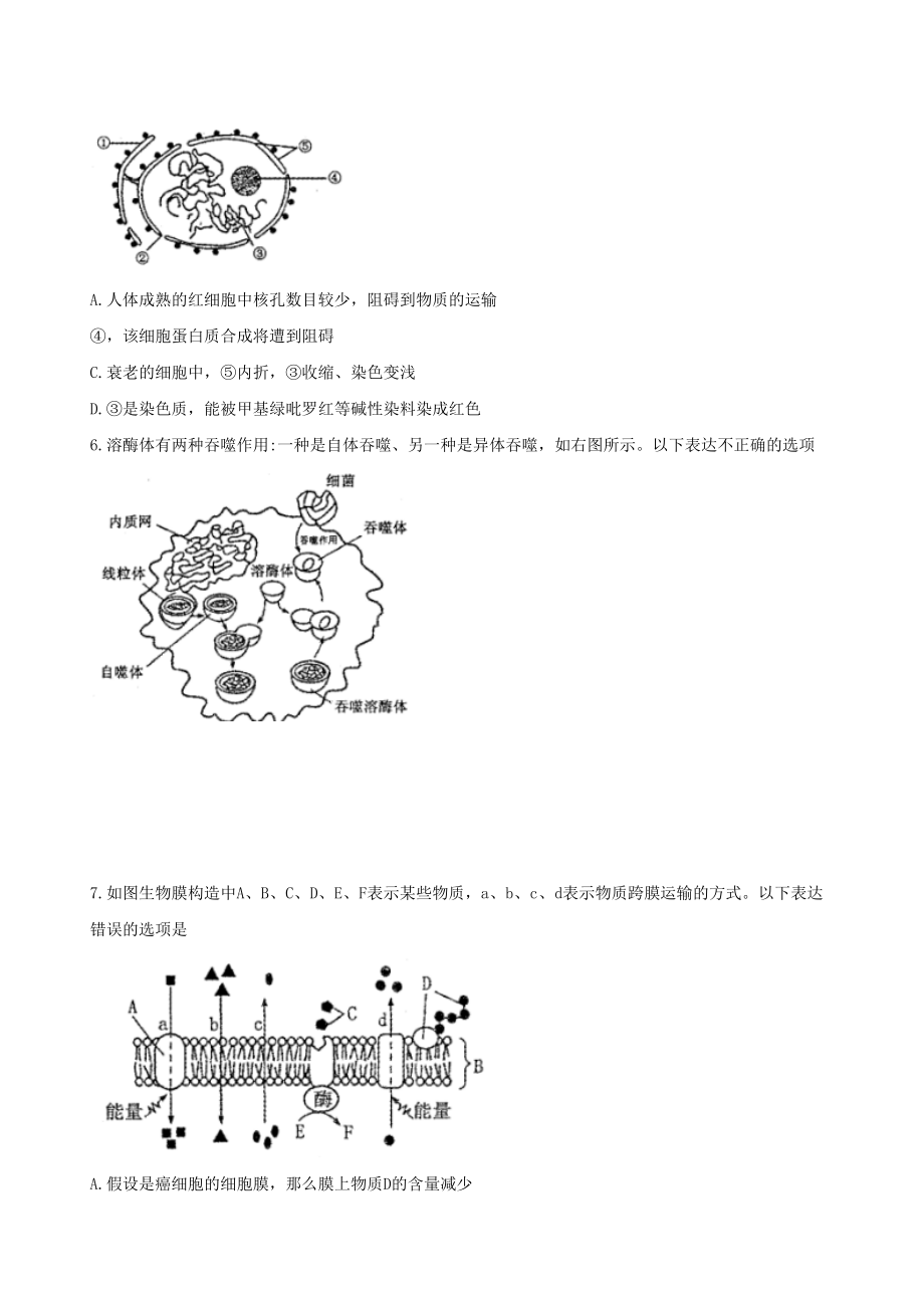 2023年洛阳市高三生物期中试题及答案.docx_第2页