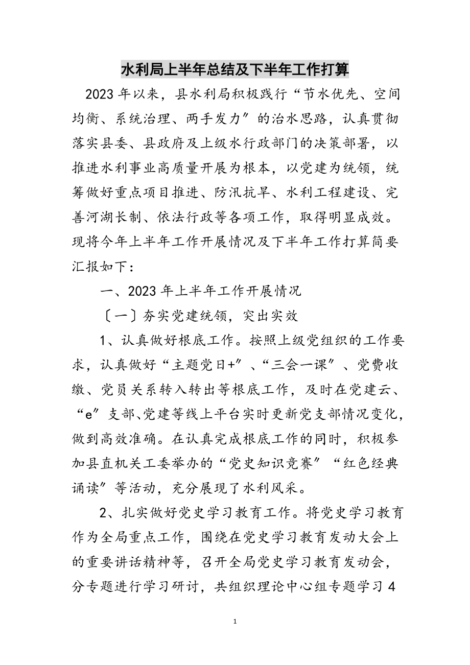 2023年水利局上半年总结及下半年工作打算范文.doc_第1页