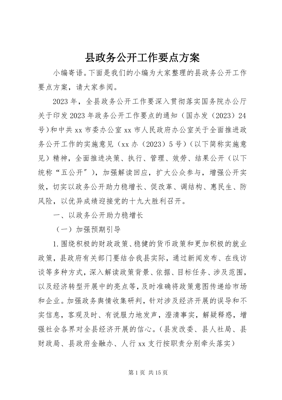 2023年县政务公开工作要点计划.docx_第1页