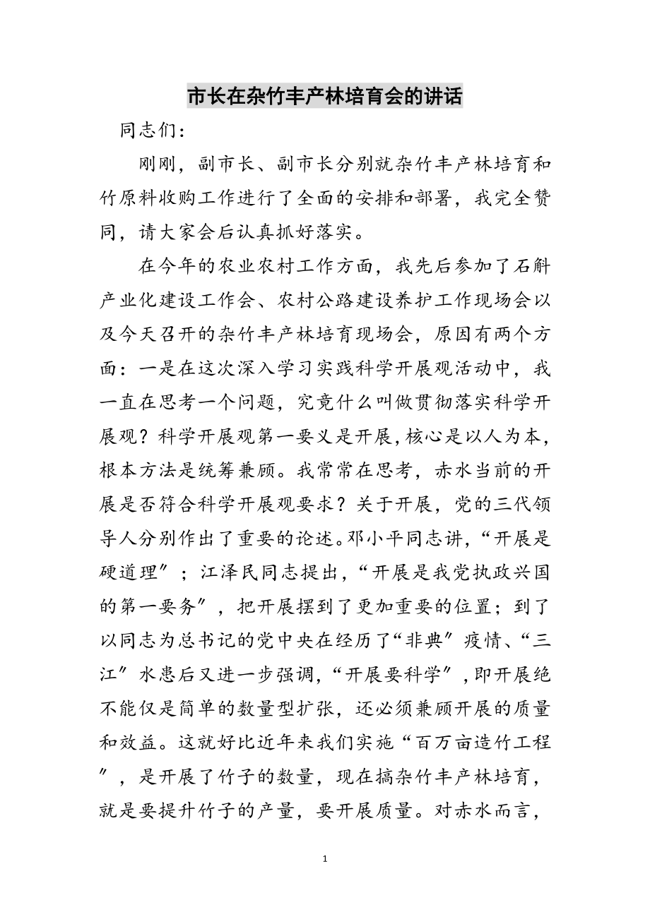 2023年市长在杂竹丰产林培育会的讲话范文.doc_第1页