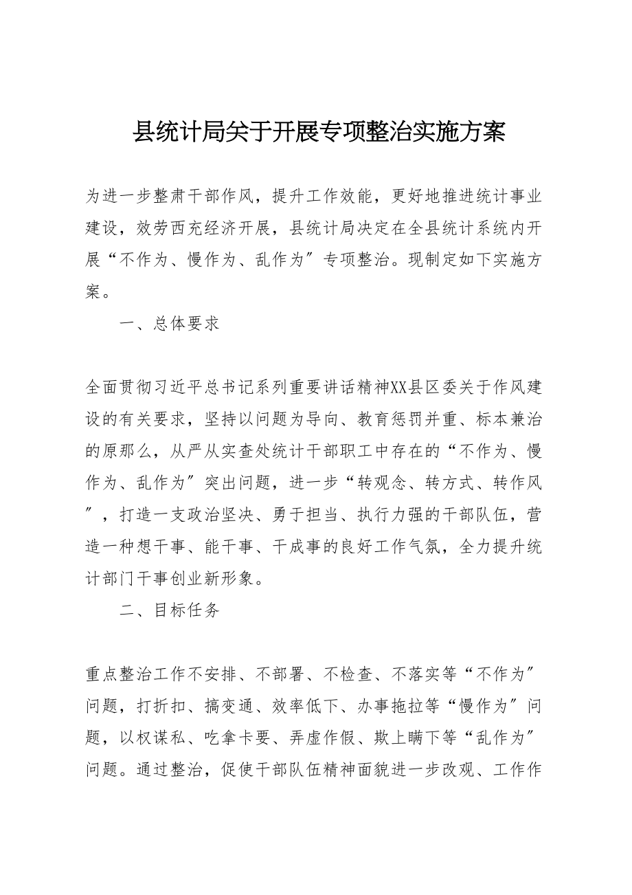 2023年县统计局关于开展专项整治实施方案.doc_第1页