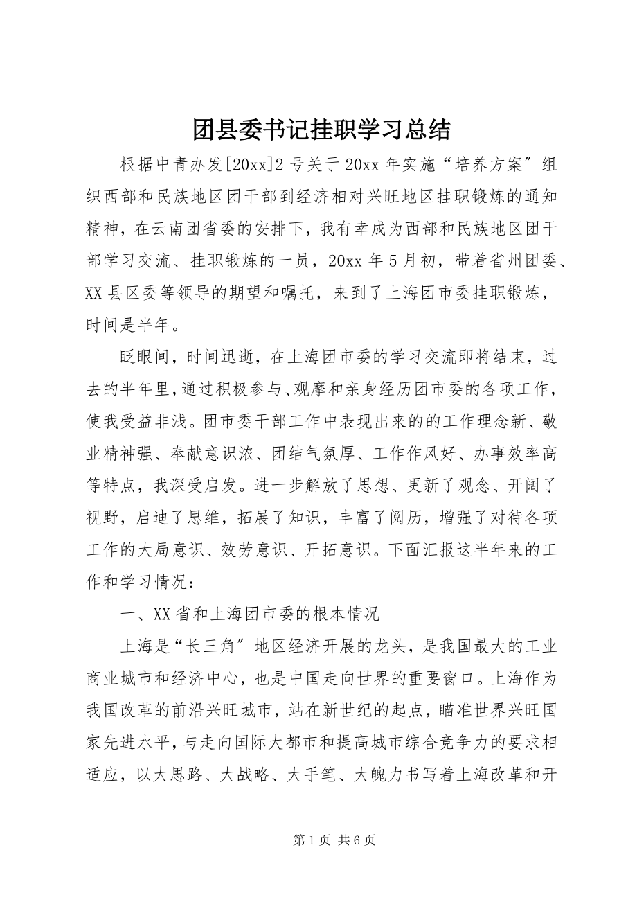 2023年团县委书记挂职学习总结.docx_第1页