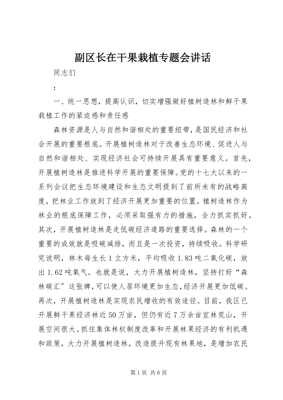 2023年副区长在干果栽植专题会致辞.docx_第1页