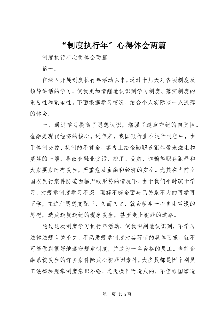 2023年制度执行年心得体会两篇.docx_第1页