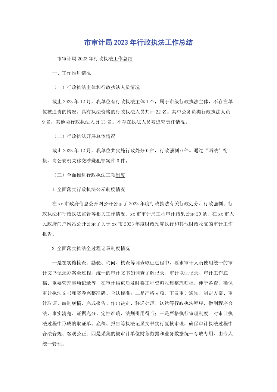 2023年市审计局年行政执法工作总结.docx_第1页