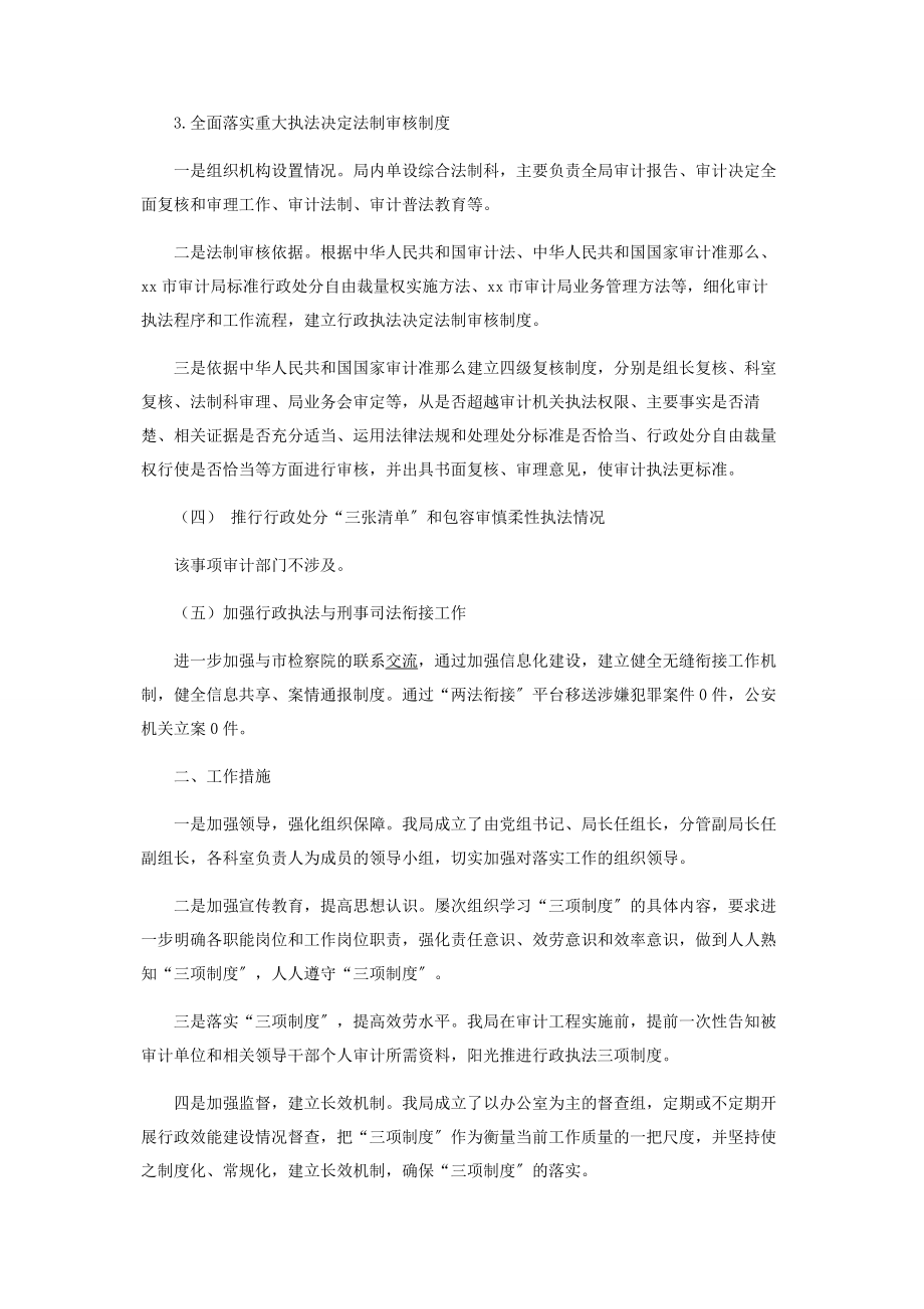 2023年市审计局年行政执法工作总结.docx_第2页