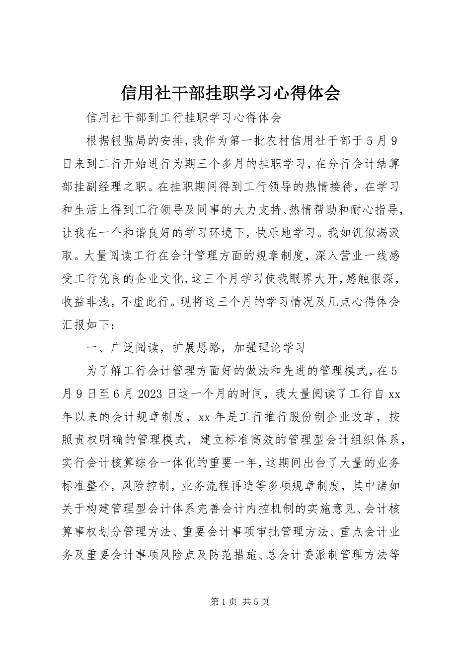 2023年信用社干部挂职学习心得体会.docx_第1页