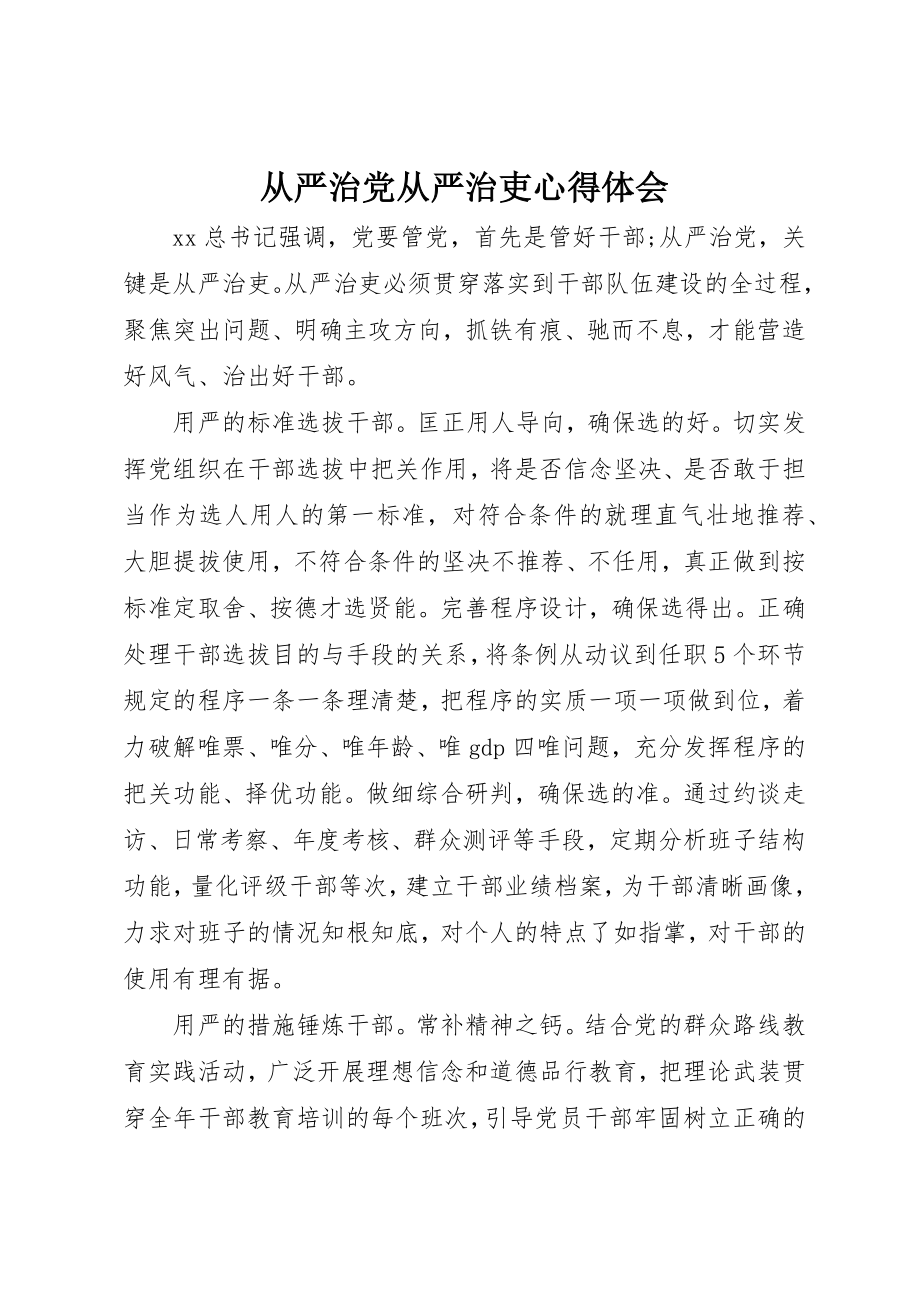 2023年从严治党从严治吏心得体会.docx_第1页