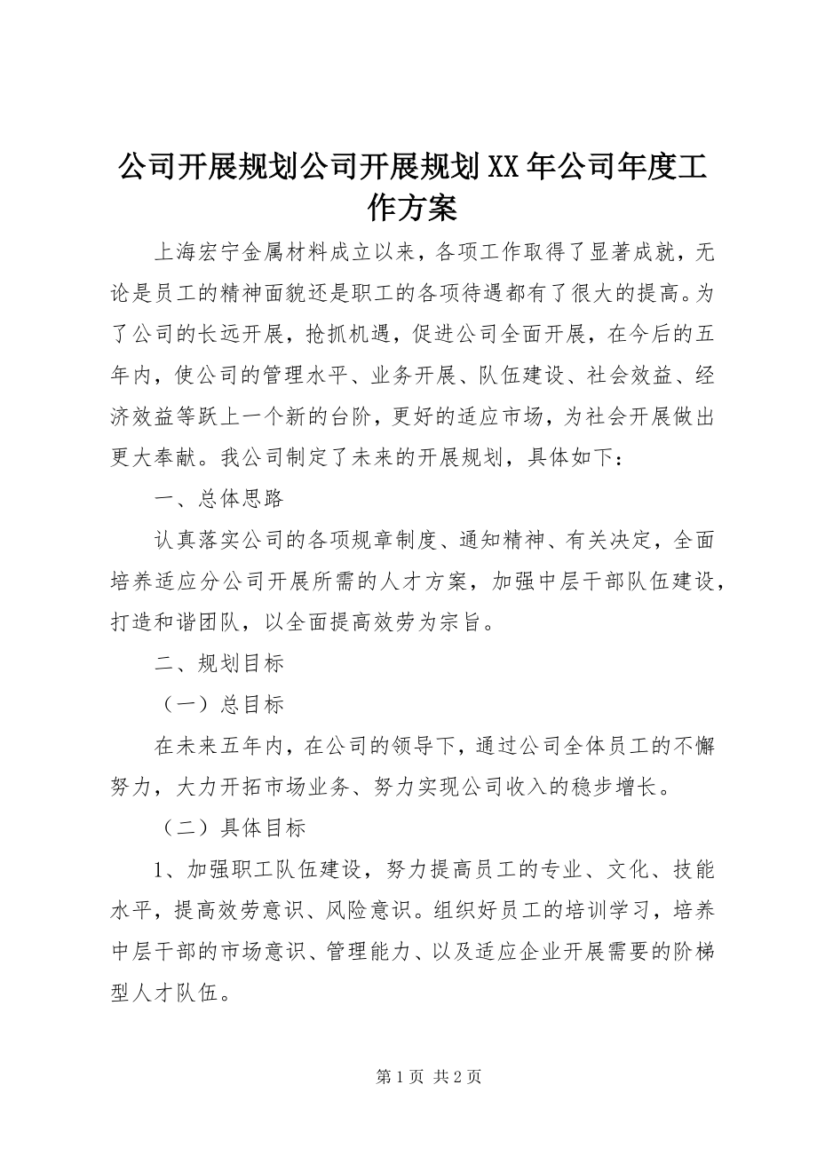 2023年公司发展规划公司发展规划某年公司年度工作计划.docx_第1页