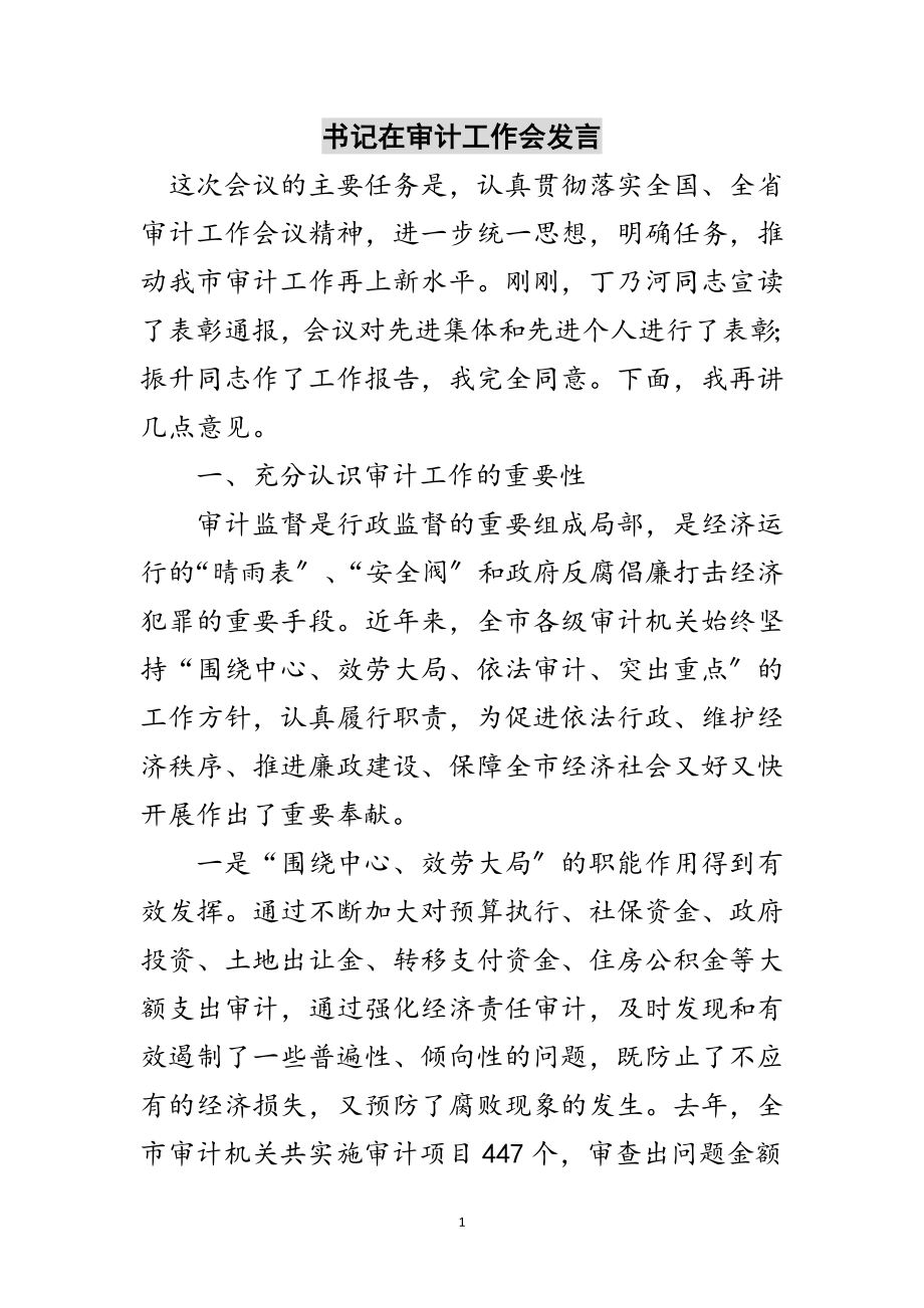 2023年书记在审计工作会发言范文.doc_第1页