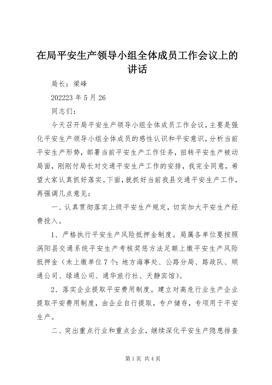 2023年在局安全生产领导小组全体成员工作会议上的致辞.docx_第1页