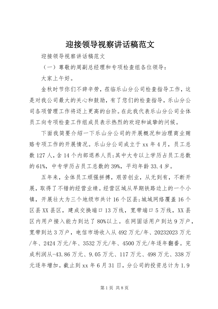 2023年迎接领导视察致辞稿.docx_第1页