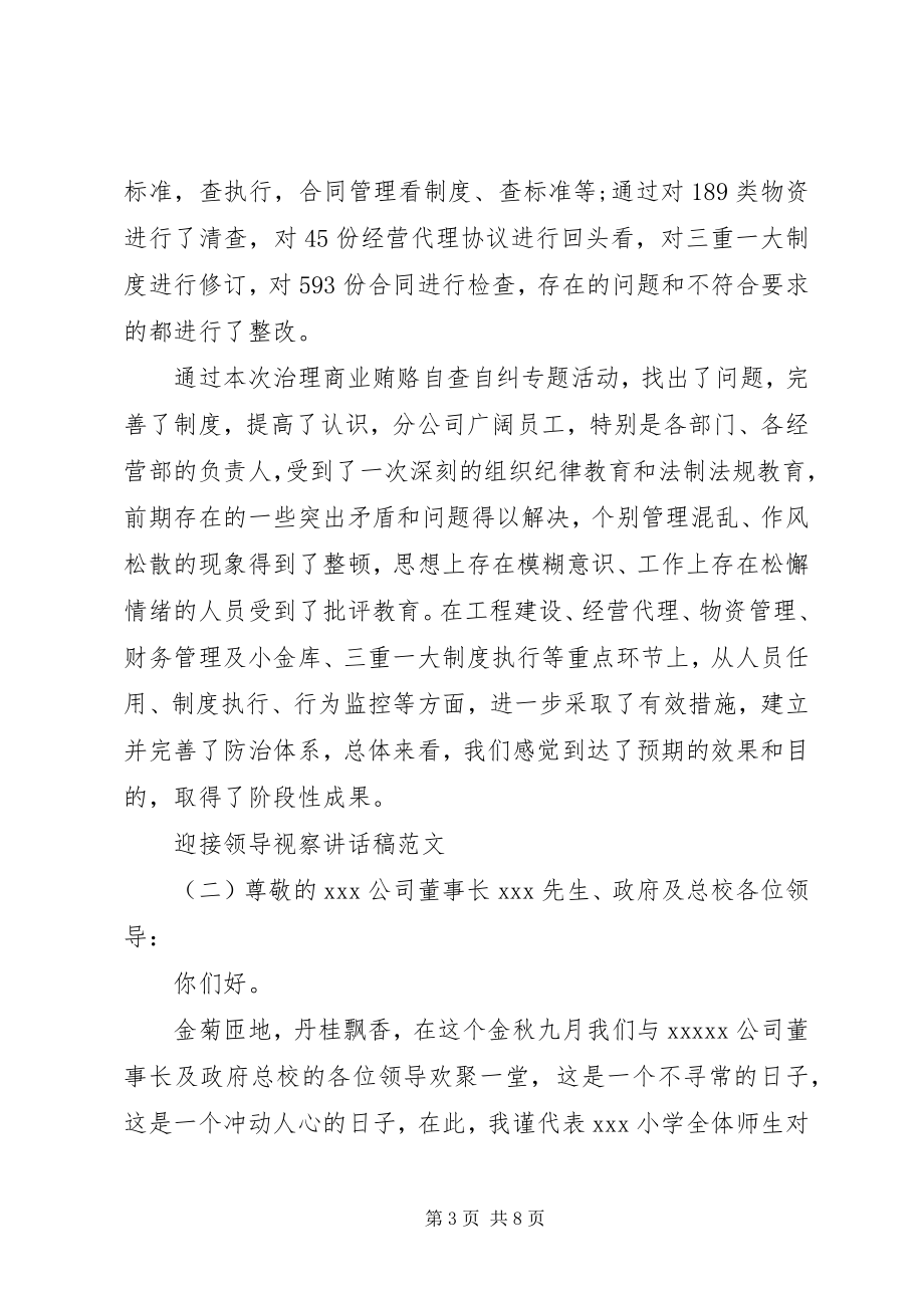 2023年迎接领导视察致辞稿.docx_第3页