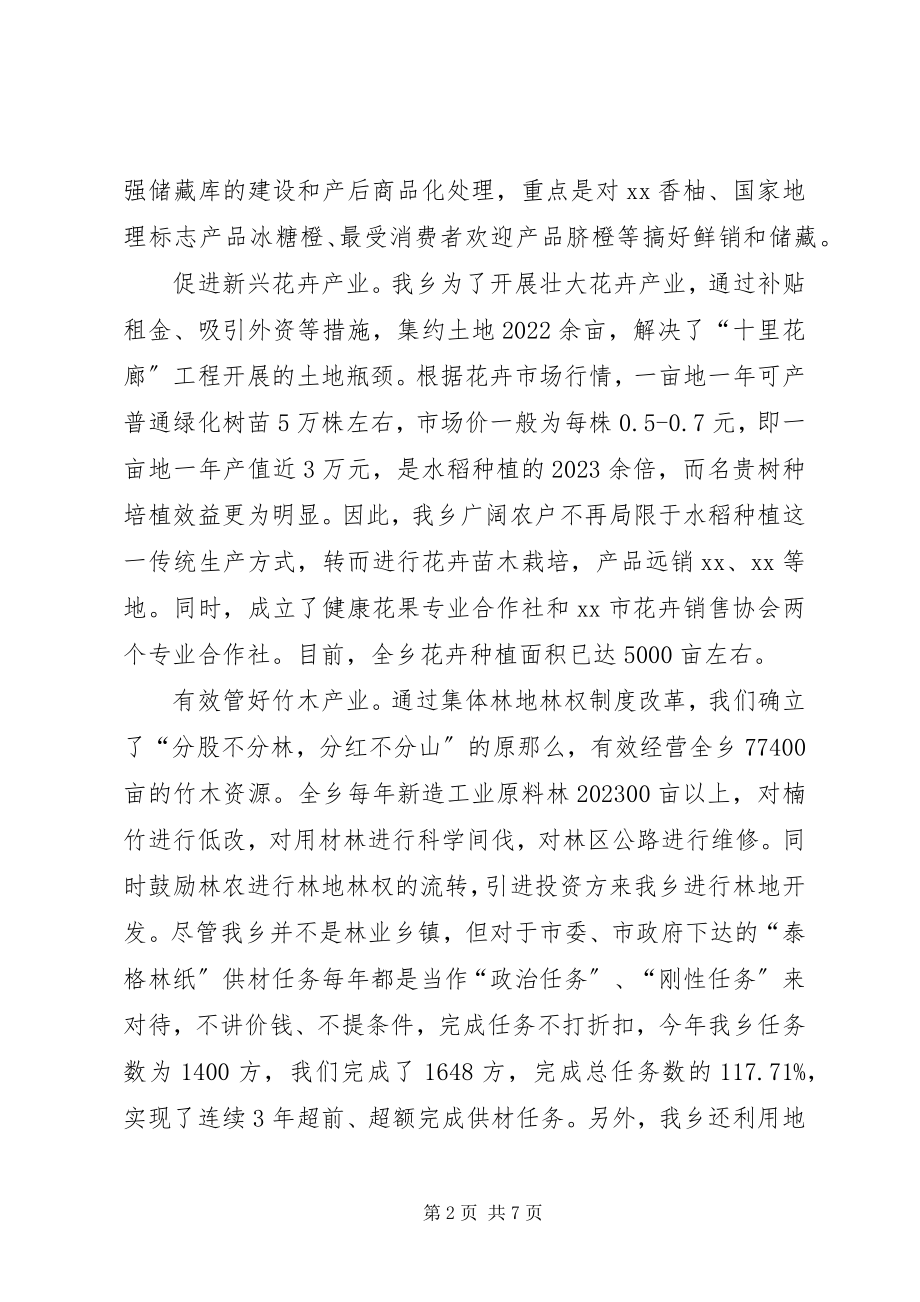 2023年乡政府二0一0年工作总结.docx_第2页