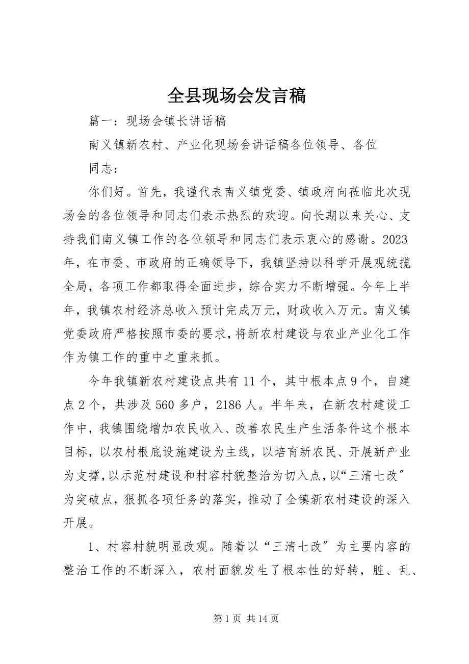 2023年全县现场会讲话稿.docx_第1页