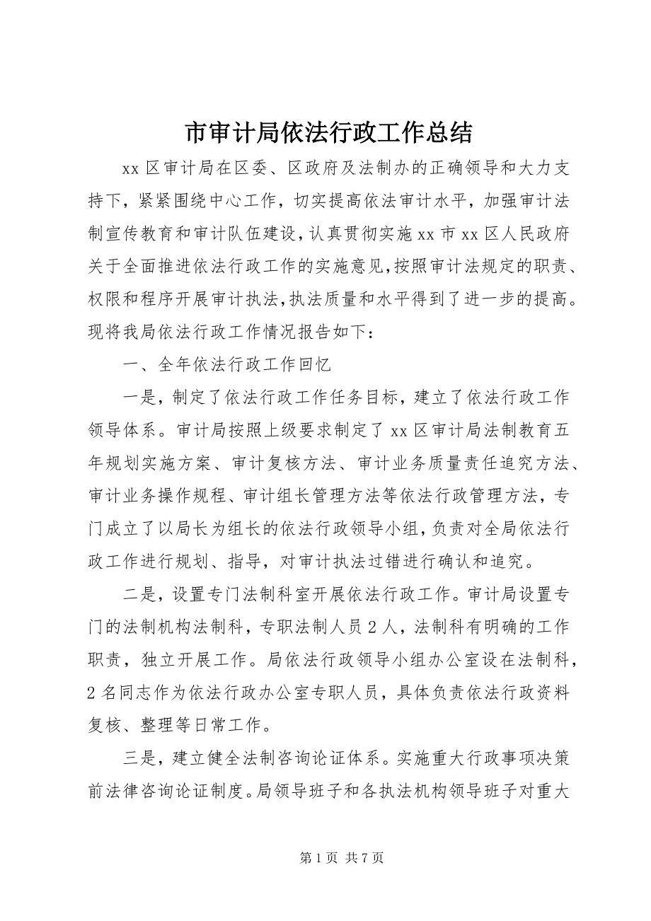 2023年市审计局依法行政工作总结.docx_第1页