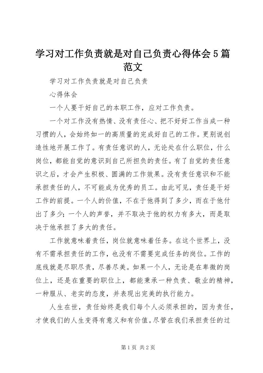 2023年学习《对工作负责就是对自己负责》心得体会5篇.docx_第1页