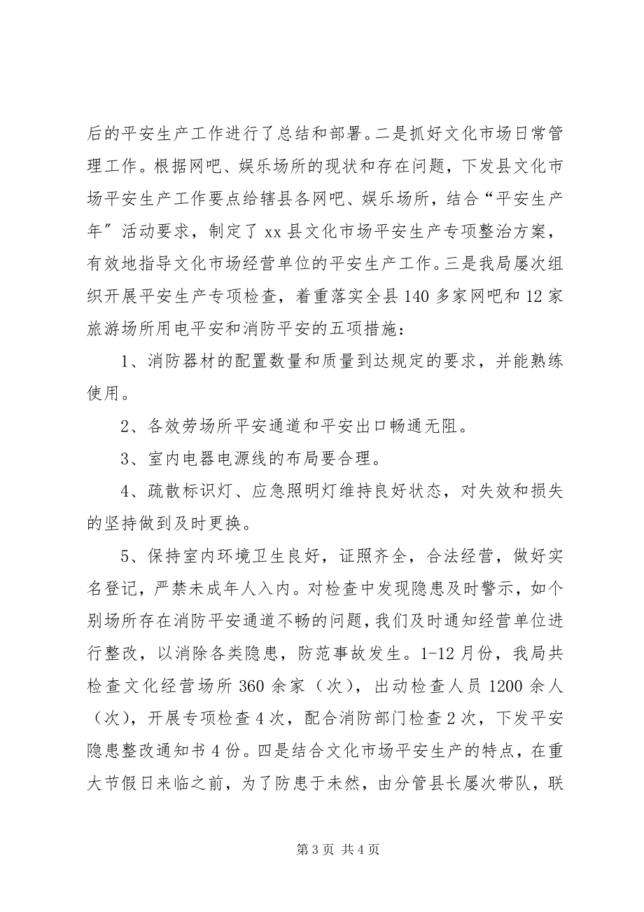 2023年乡镇文化广电局年度安全生产工作总结.docx_第3页