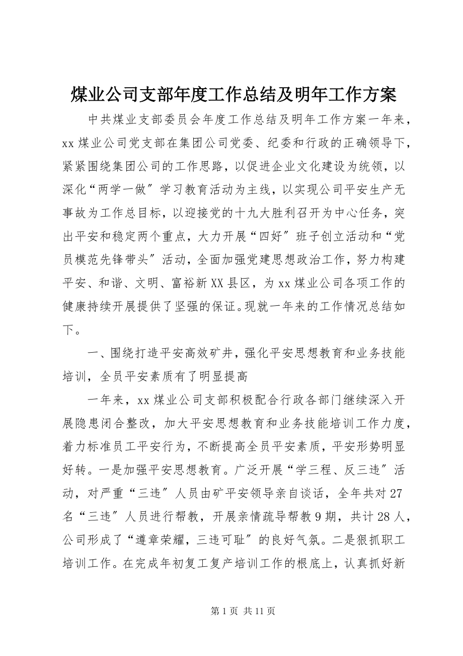 2023年煤业公司支部度工作总结及明工作计划.docx_第1页