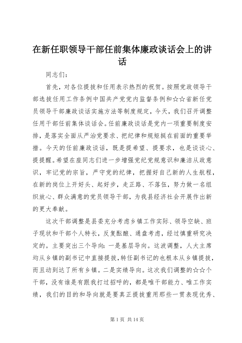 2023年在新任职领导干部任前集体廉政谈话会上的致辞.docx_第1页