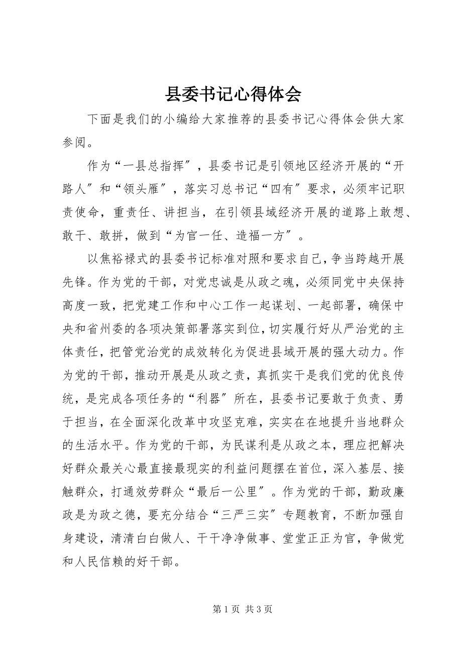 2023年县委书记心得体会.docx_第1页