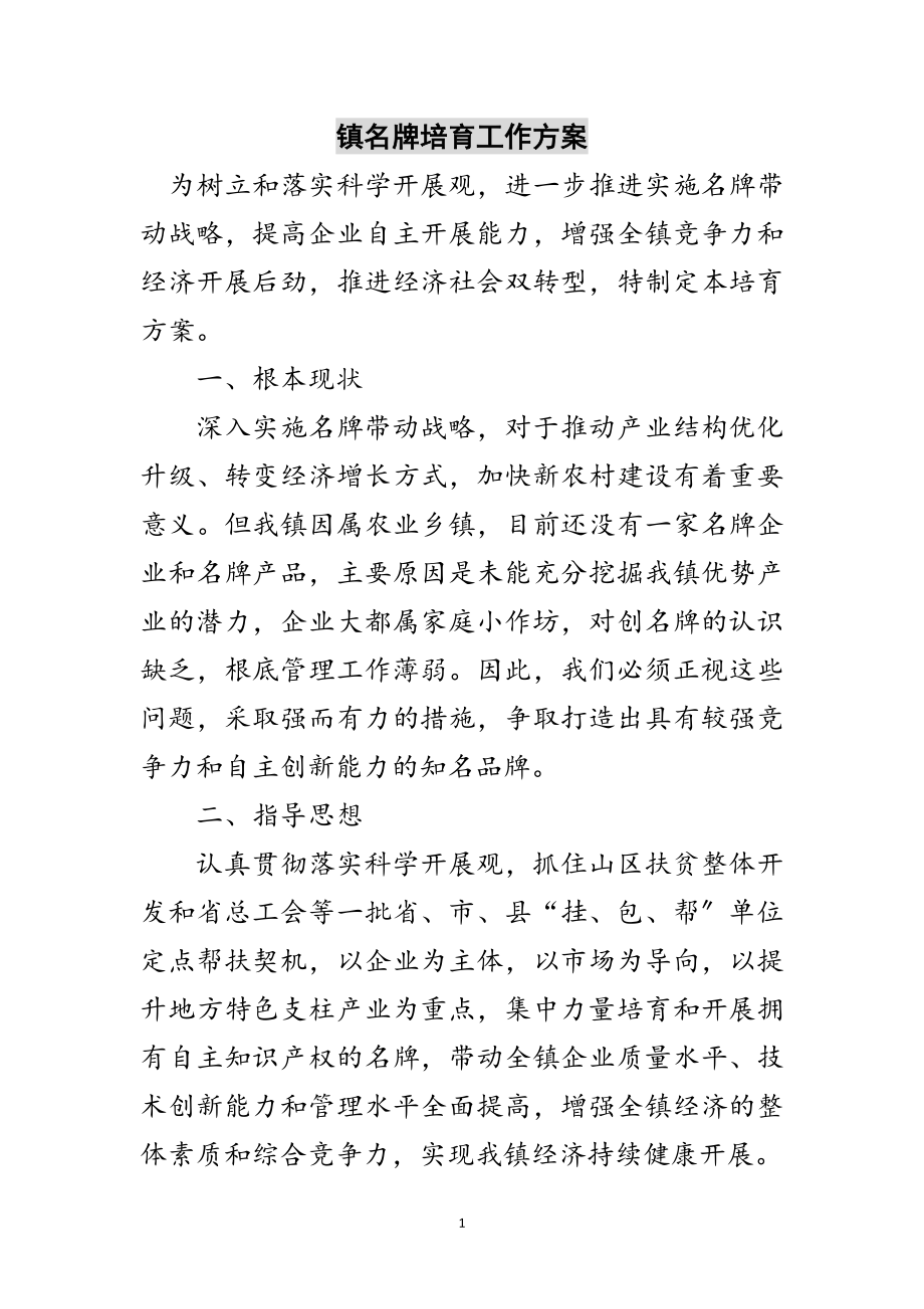 2023年镇名牌培育工作计划范文.doc_第1页