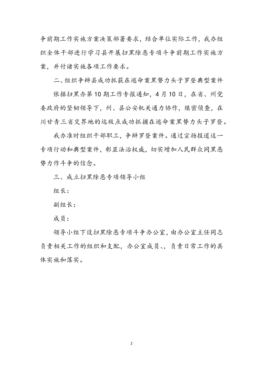 2023年扫黑除恶专项斗争上半年总结.docx_第2页