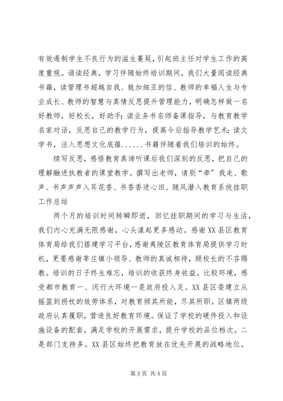 2023年教育系统挂职工作总结.docx_第3页