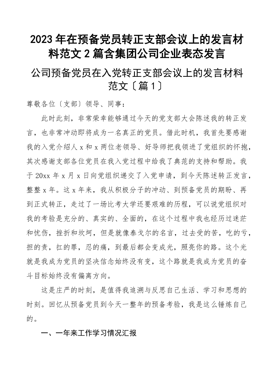 在预备党员转正支部会议上的发言材料2篇含集团公司企业表态发言范文.docx_第1页