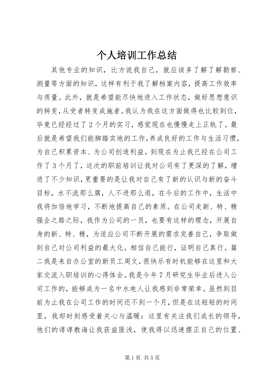 2023年个人培训工作总结.docx_第1页