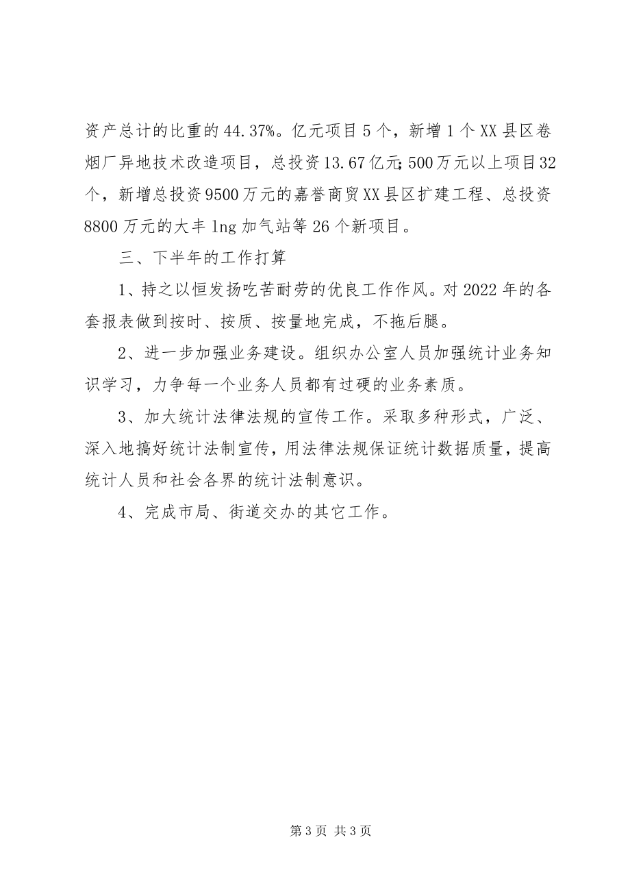 2023年街道办事处综合统计办公室上半年工作总结及下半工作计划.docx_第3页