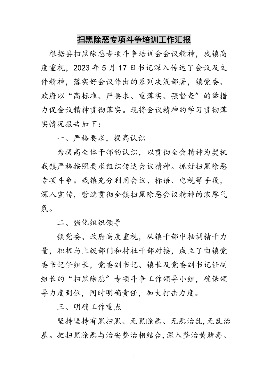 2023年扫黑除恶专项斗争培训工作汇报范文.doc_第1页