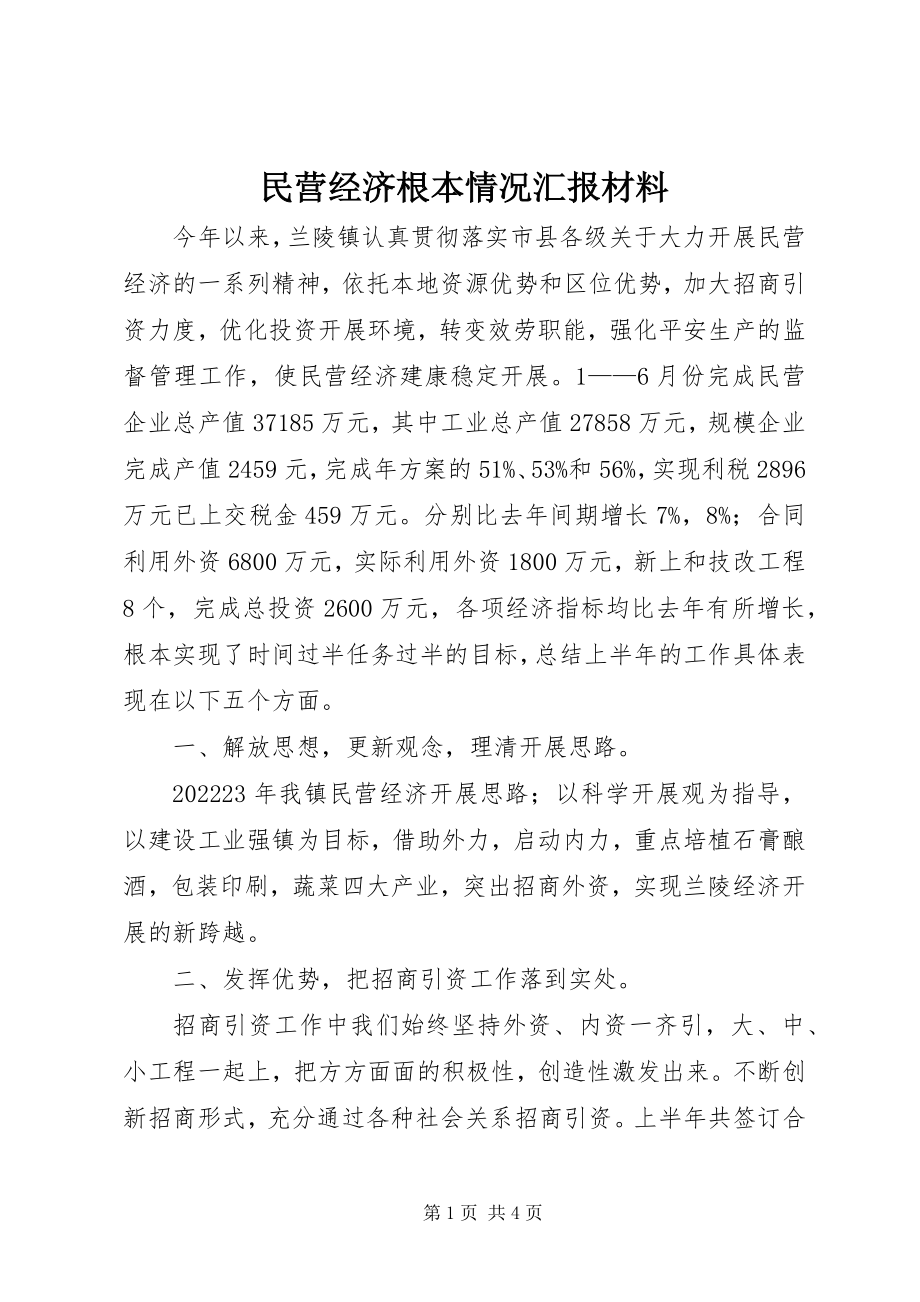 2023年民营经济基本情况汇报材料.docx_第1页