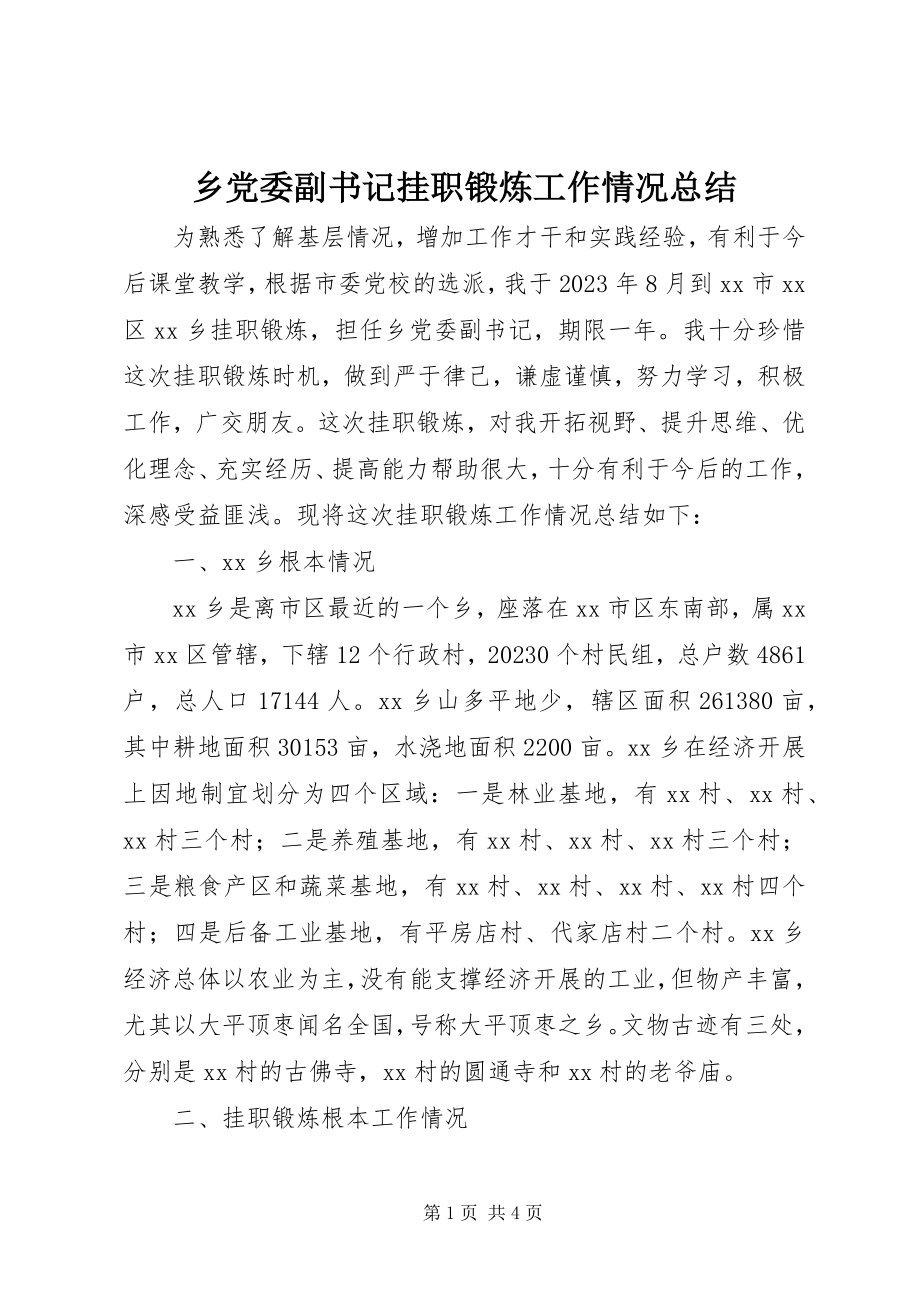 2023年乡党委副书记挂职锻炼工作情况总结.docx_第1页