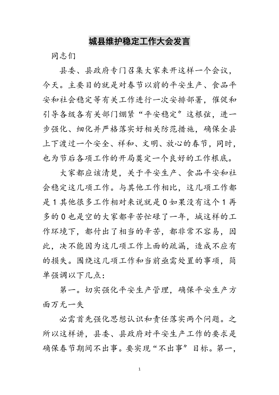 2023年城县维护稳定工作大会发言范文.doc_第1页