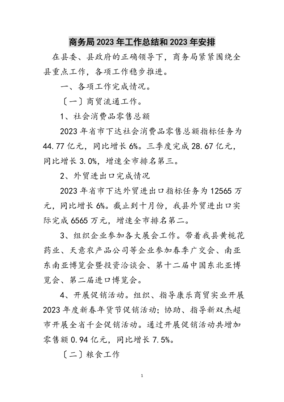 2023年商务局年工作总结和年安排范文.doc_第1页