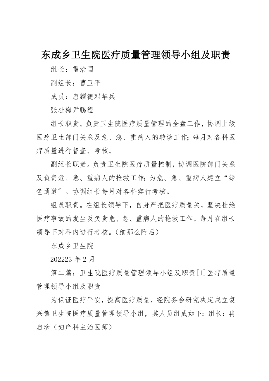 2023年东成乡卫生院医疗质量管理领导小组及职责.docx_第1页