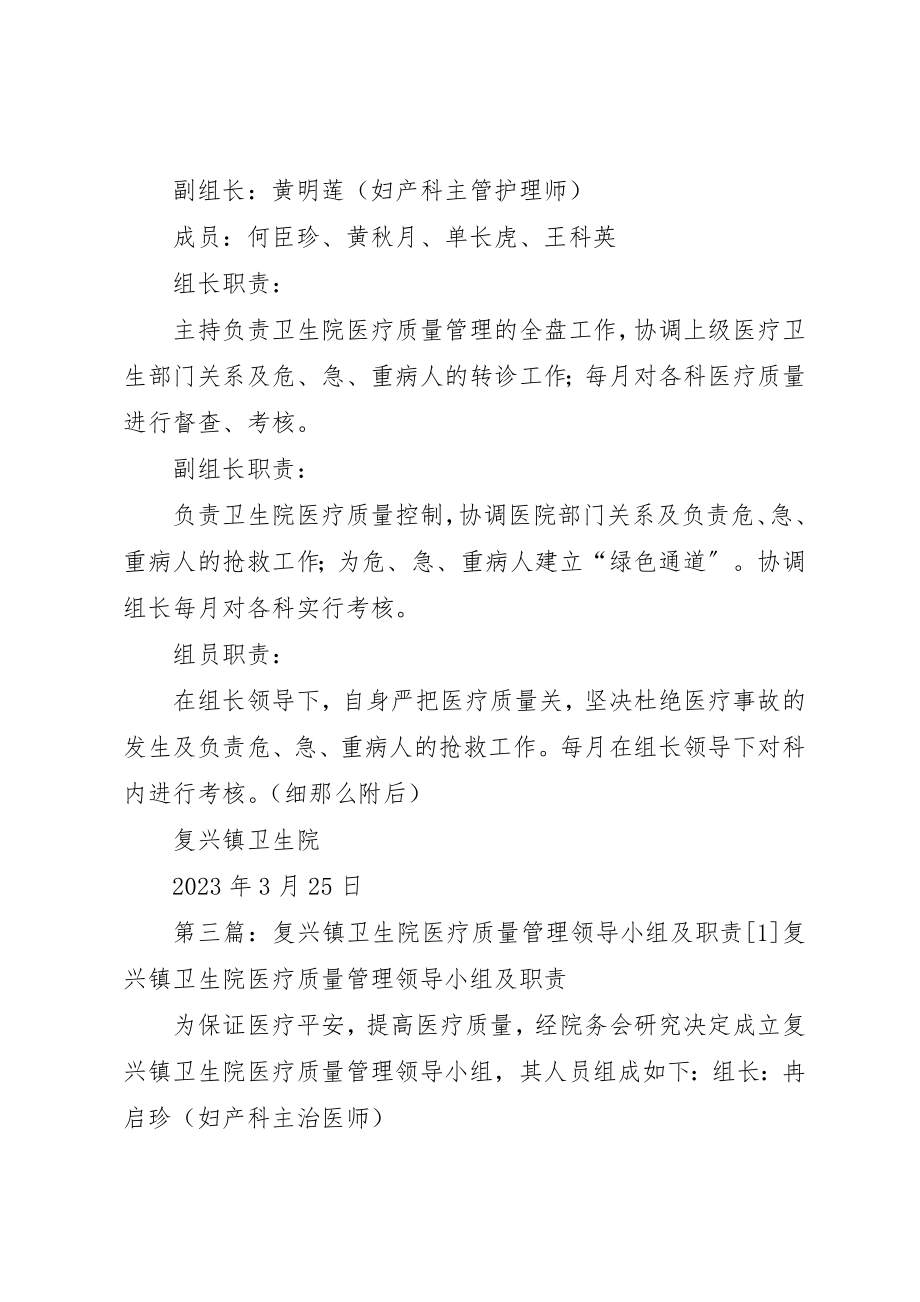 2023年东成乡卫生院医疗质量管理领导小组及职责.docx_第2页